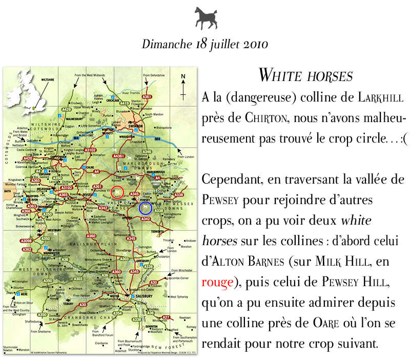 IMG_2064-4.3.white-horse